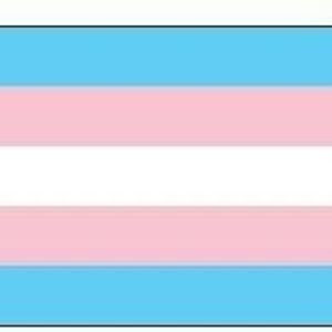 Meet your Posher, Evalyn